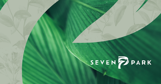 Presentation PDF Preview